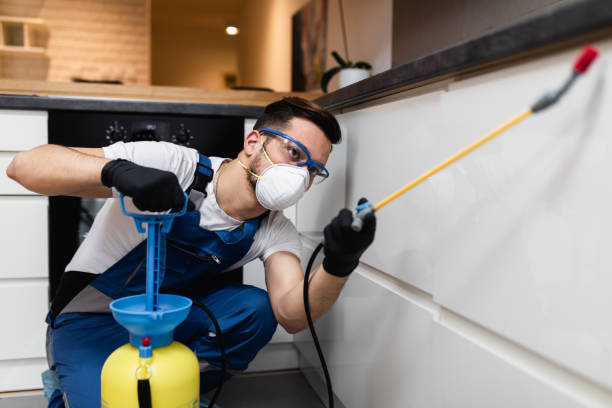 Trusted Lake Linden, MI Pest Control Experts