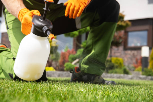 Best Pest Removal Services  in Lake Linden, MI