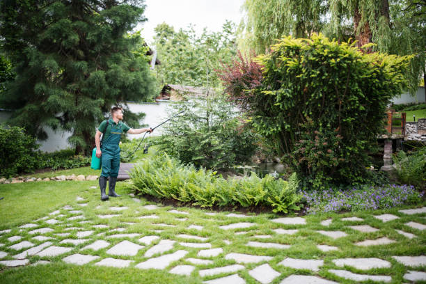 Best Pest Prevention Services  in Lake Linden, MI