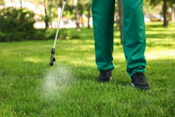 Best Pest Control Cost  in Lake Linden, MI