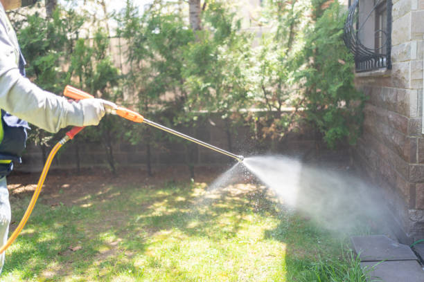 Best Pest Inspection Near Me  in Lake Linden, MI
