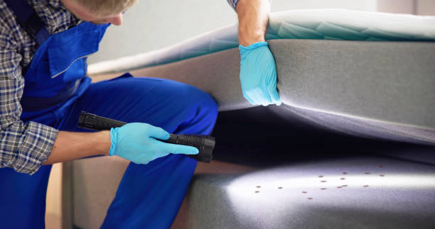 Best Affordable Pest Control Services  in Lake Linden, MI