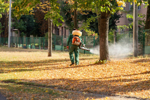 Best Commercial Pest Control Services  in Lake Linden, MI