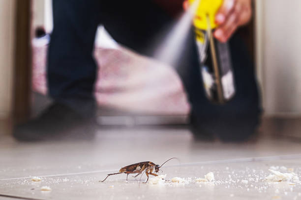 Best Flea Control Services  in Lake Linden, MI