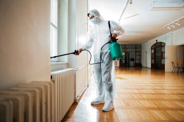 Best Wasp Removal Services  in Lake Linden, MI