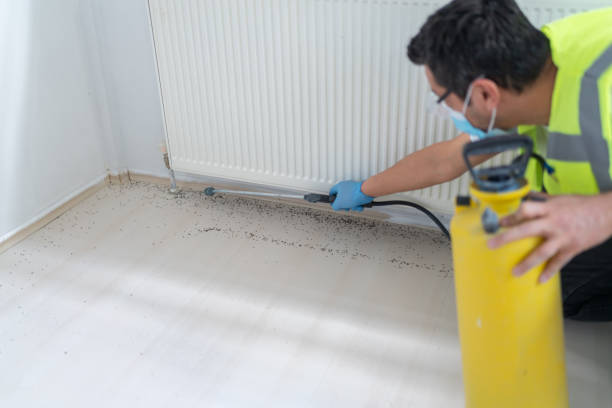 Best Affordable Pest Control Services  in Lake Linden, MI