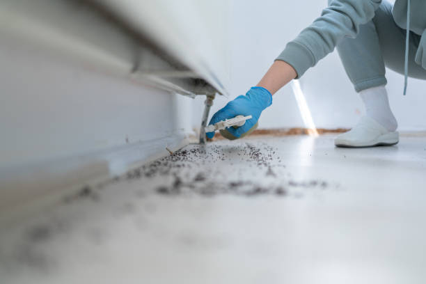 Best Bed Bug Extermination  in Lake Linden, MI
